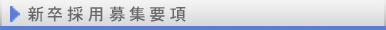 新卒採用募集要項